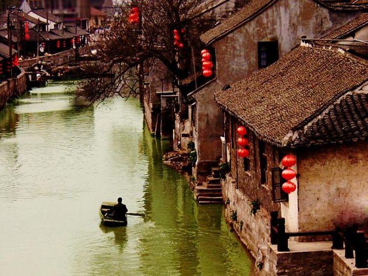 救援鹦鹉