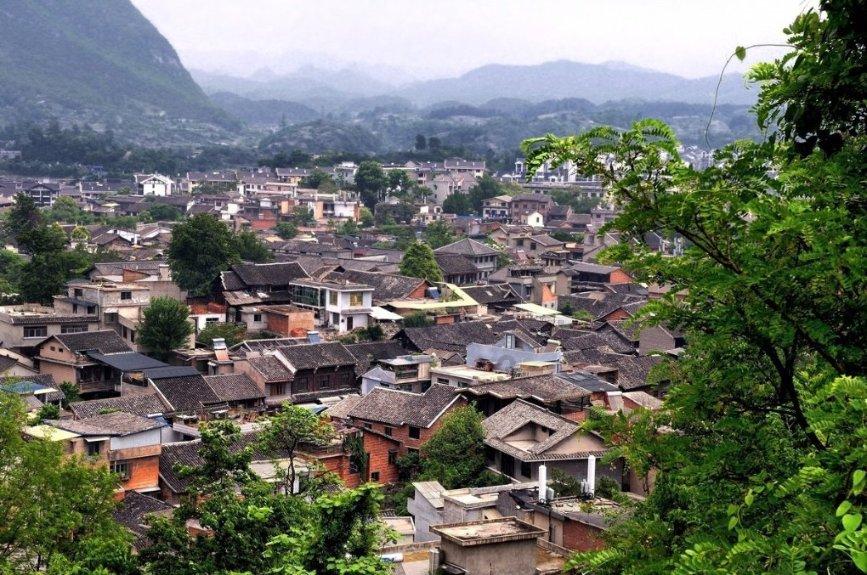 多鲸行研 | 2024少儿编程教育行业发展趋势报告